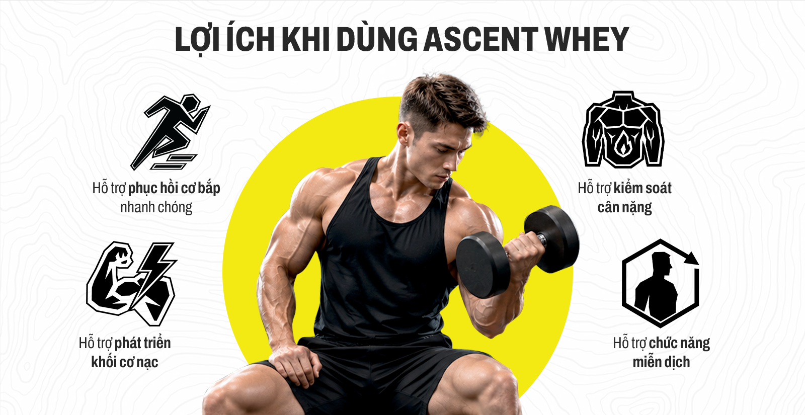 Ascent Native Whey Lợi Ích