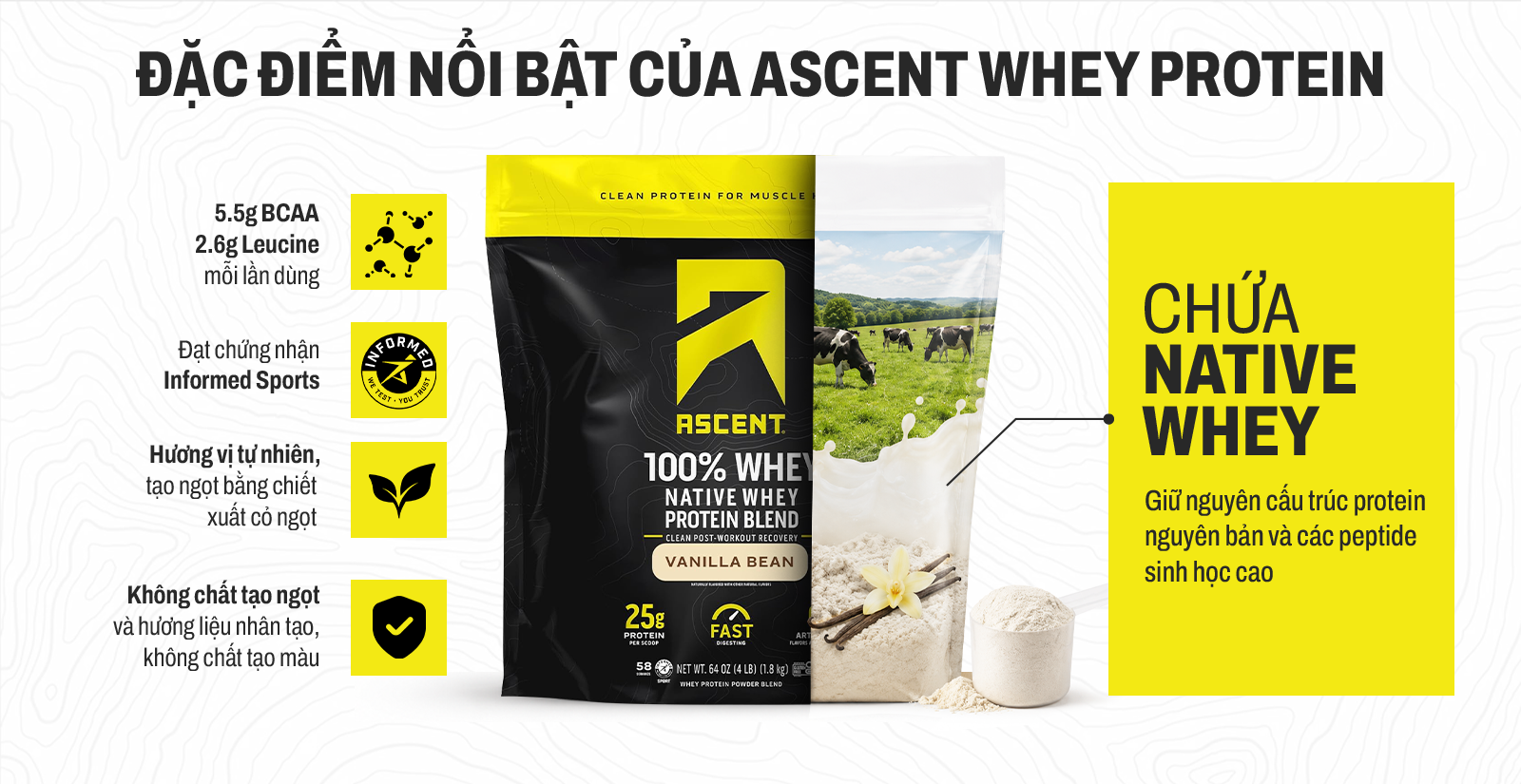 Ascent Native Whey Ưu Điểm