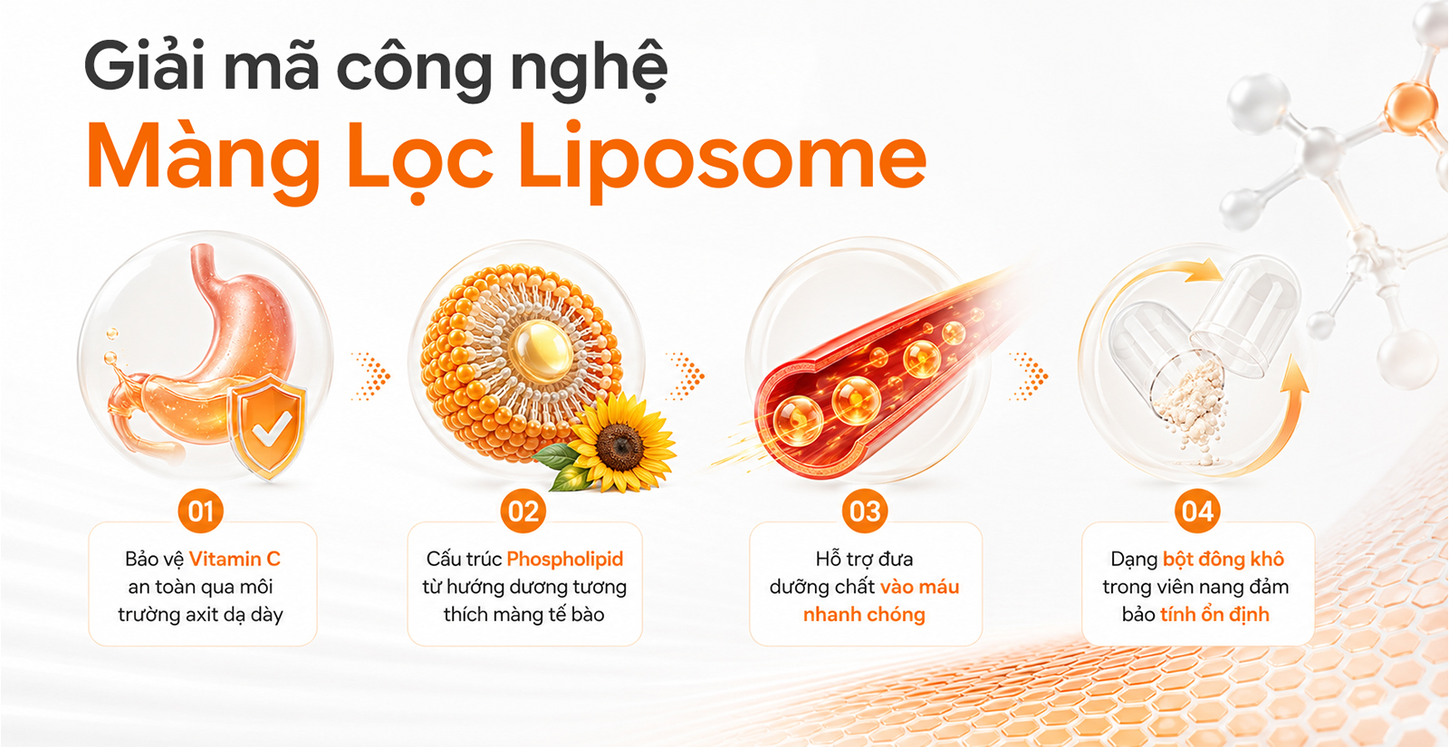 Công nghệ đặc biệt của CodeAge Liposomal Vitamin C