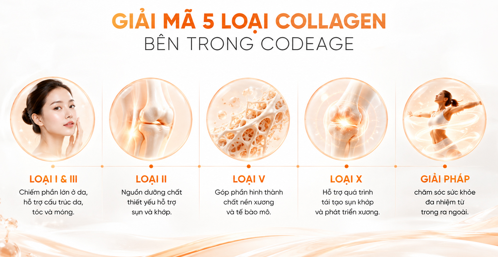 Thành phần đặc biệt của CodeAge Hydrolyzed Multi Collagen Peptides