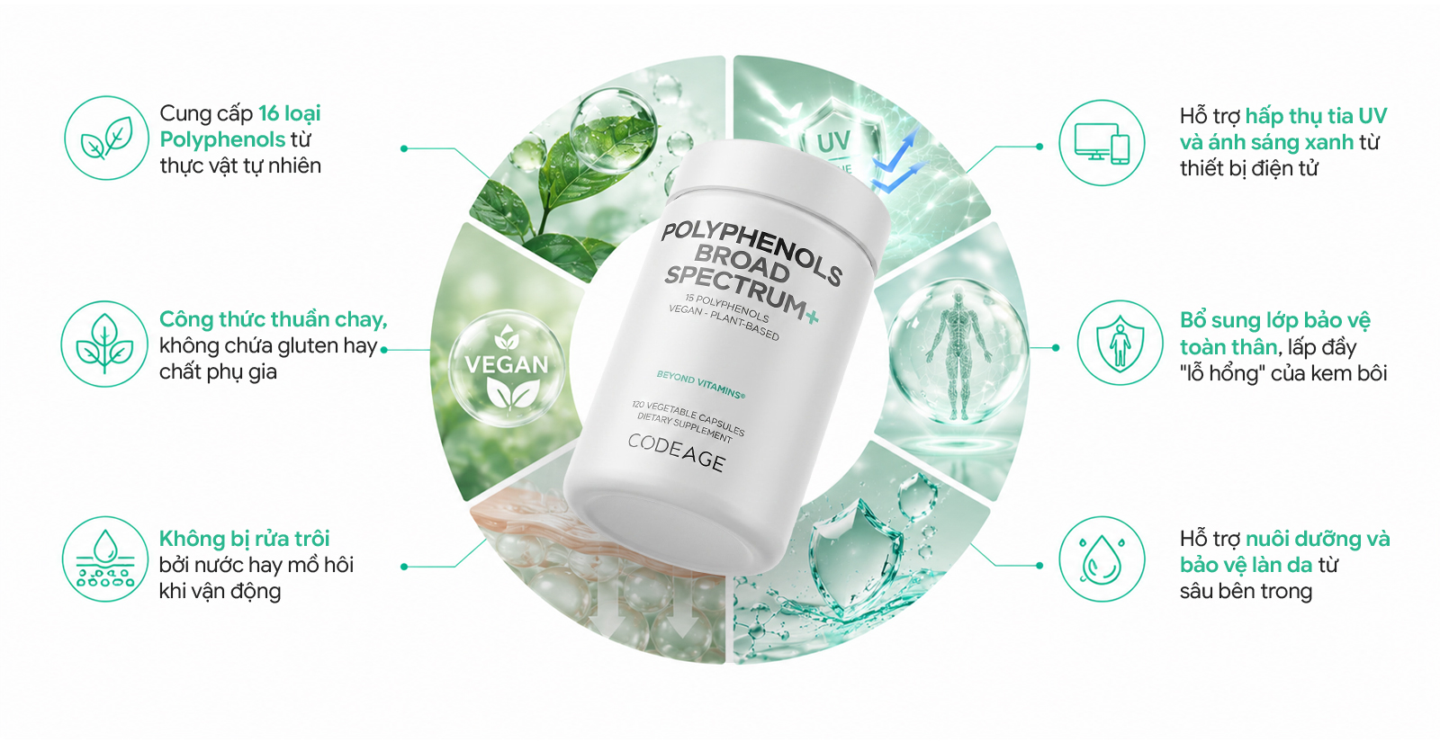 Ưu điểm nổi bật của CodeAge Polyphenols Broad Spectrum