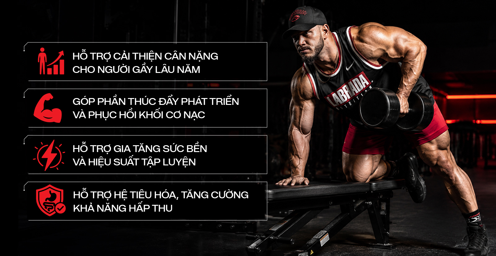Lợi ích khi sử dụng sữa tăng cân Labrada Muscle Mass Gainer 5.4kg