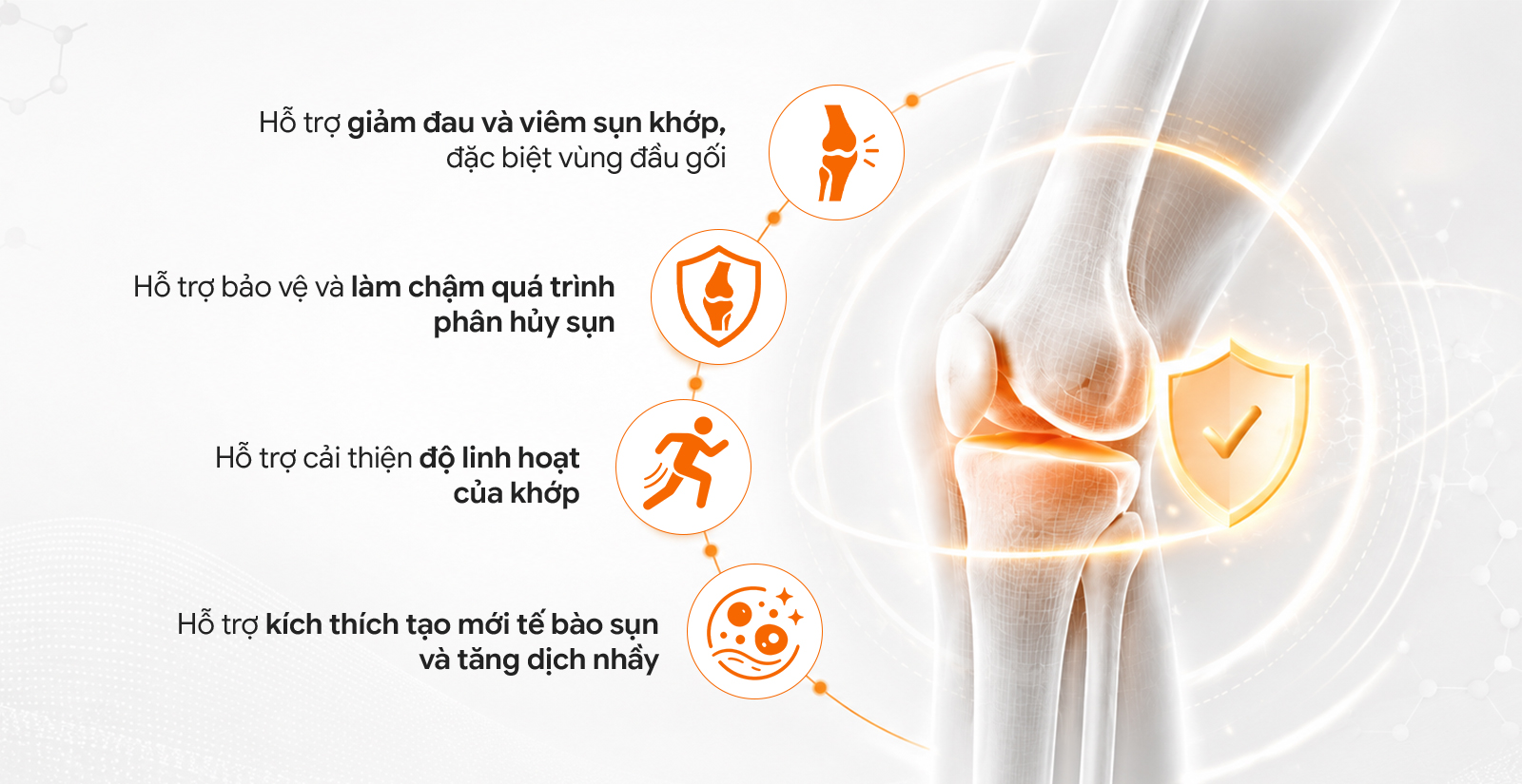 Lợi ích khi sử dụng NOW Glucosamine Sulfate 750mg