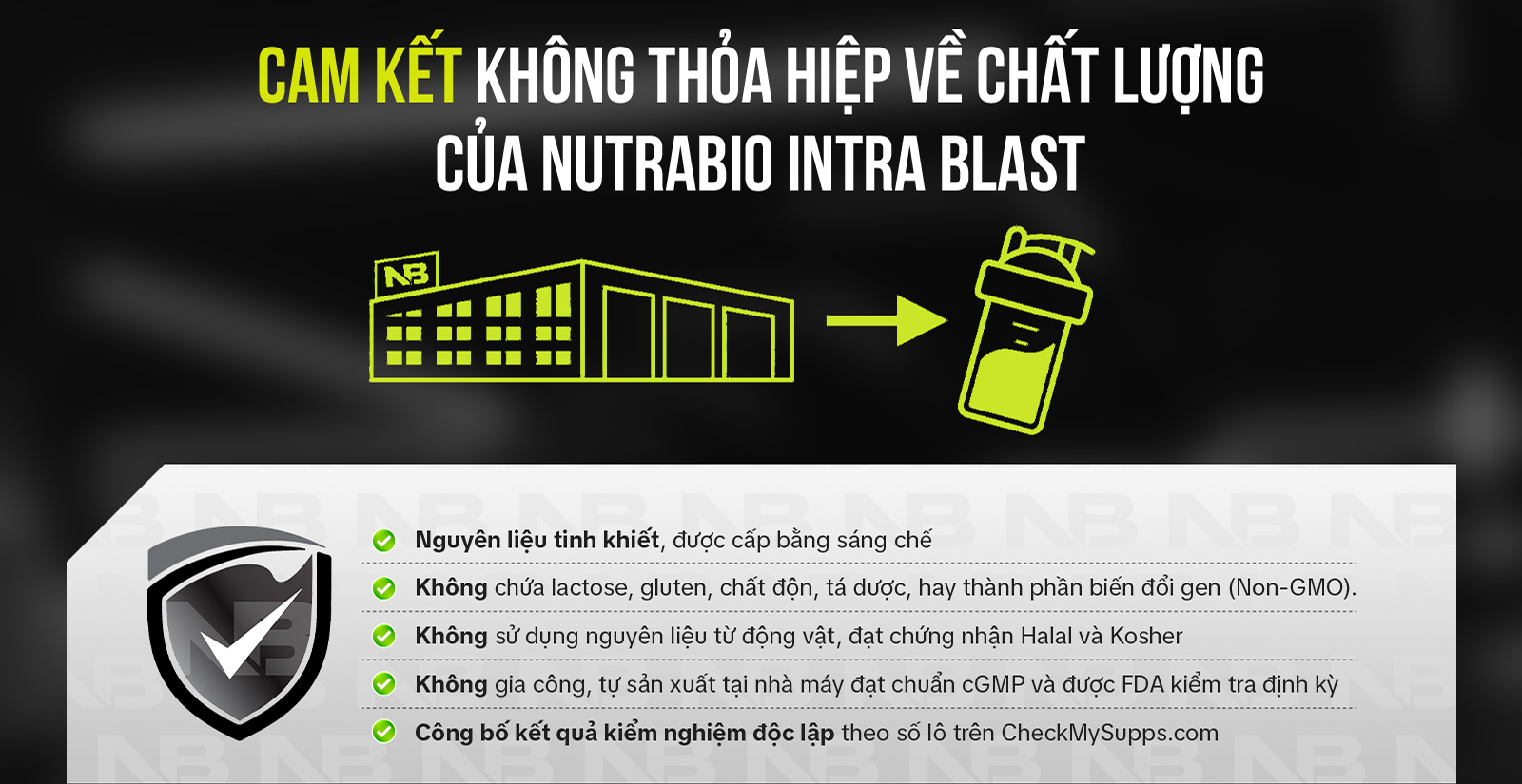 Nutrabio Intra Blast Minh Bạch Chất Lượng