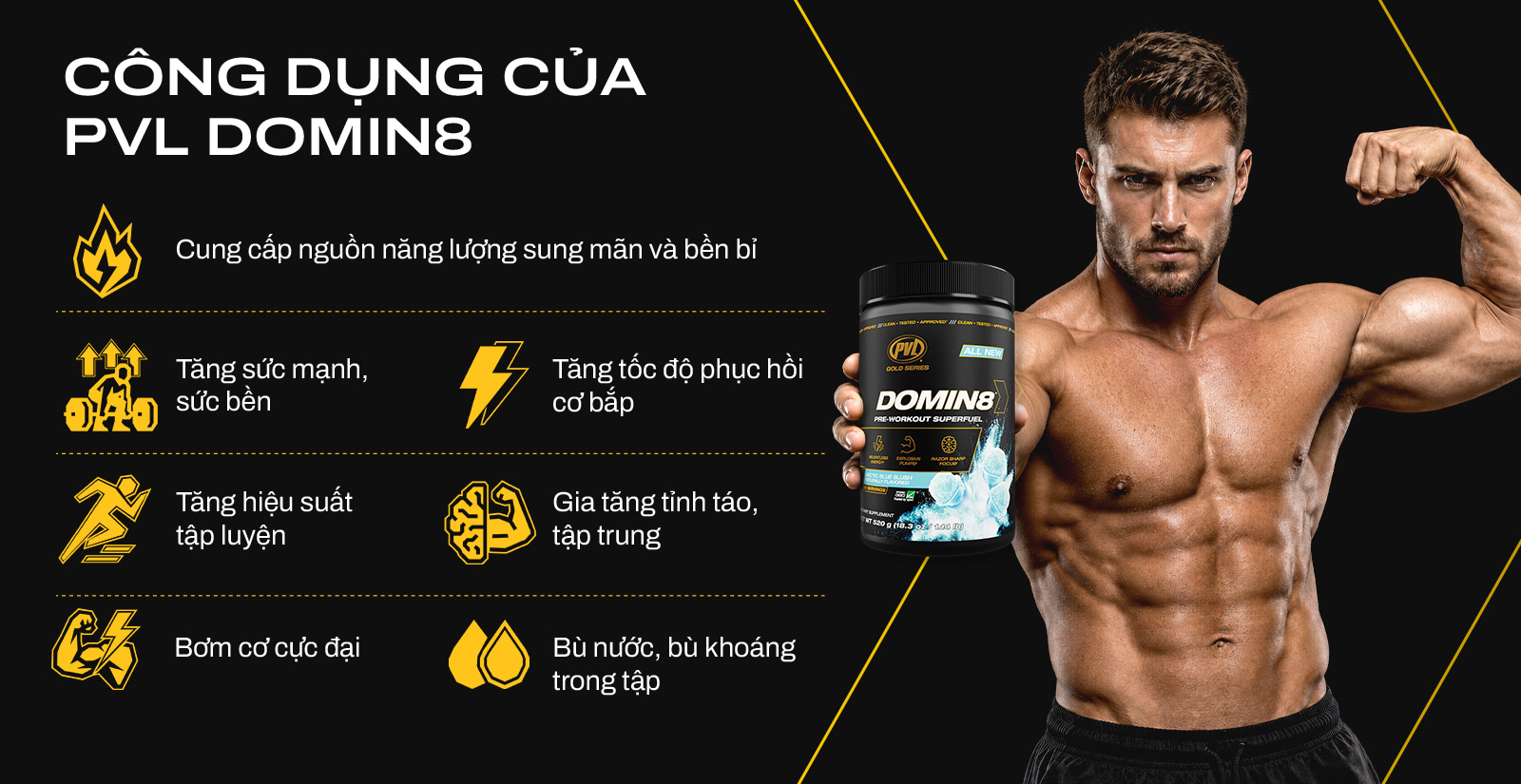 PVL Domin 8 Lợi Ích