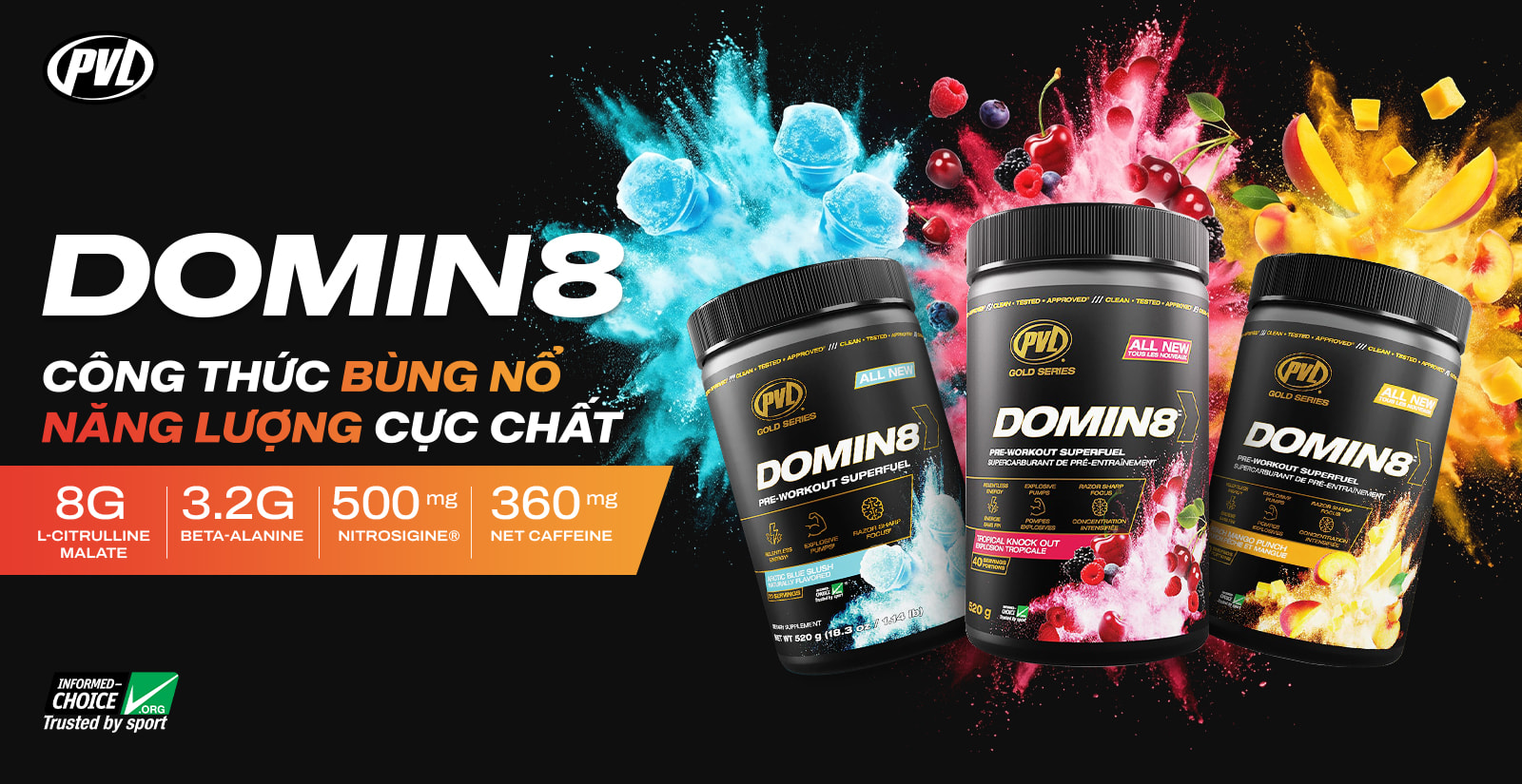 PVL Domin 8 Nổi Bật