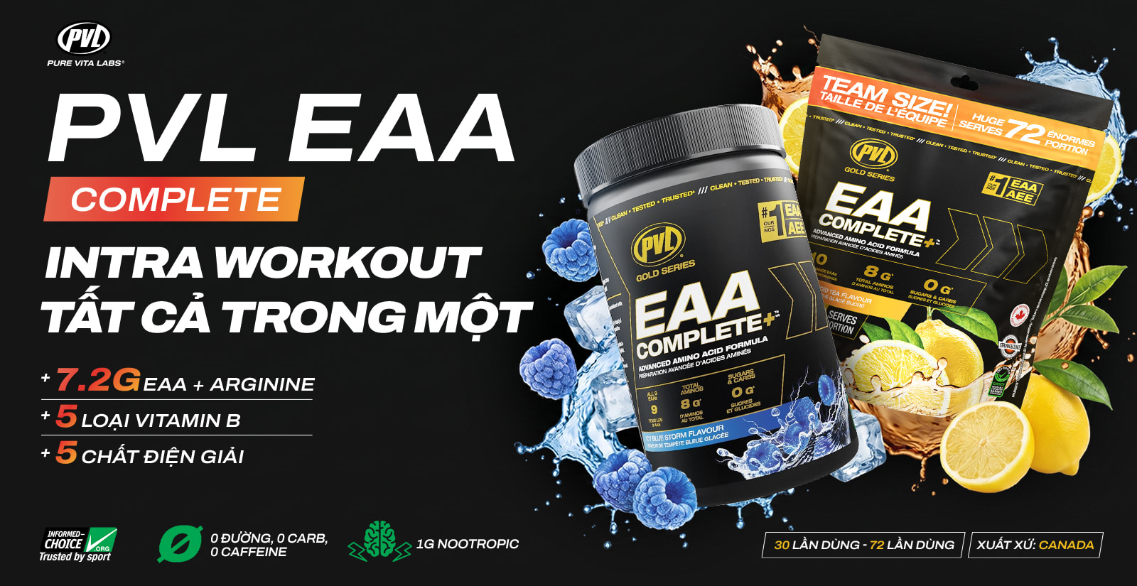 PVL EAA Complete Nổi Bật