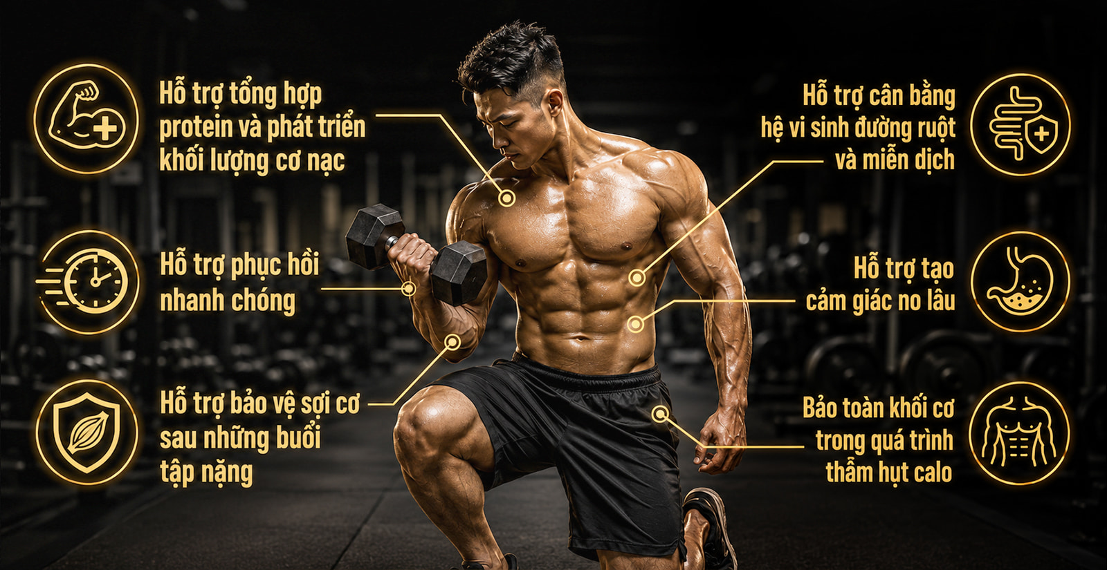 PVL Iso Gold Công Dụng