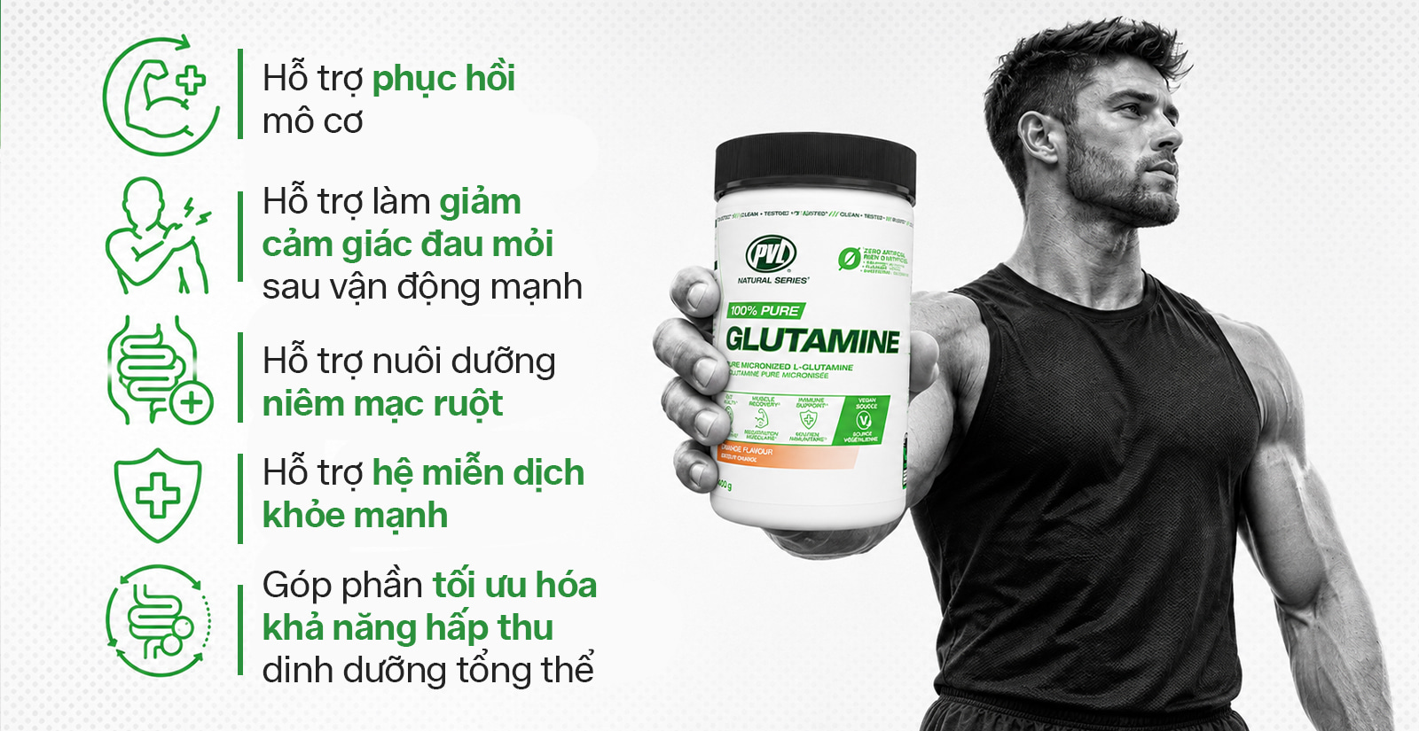 PVL Pure Glutamine Lợi Ích