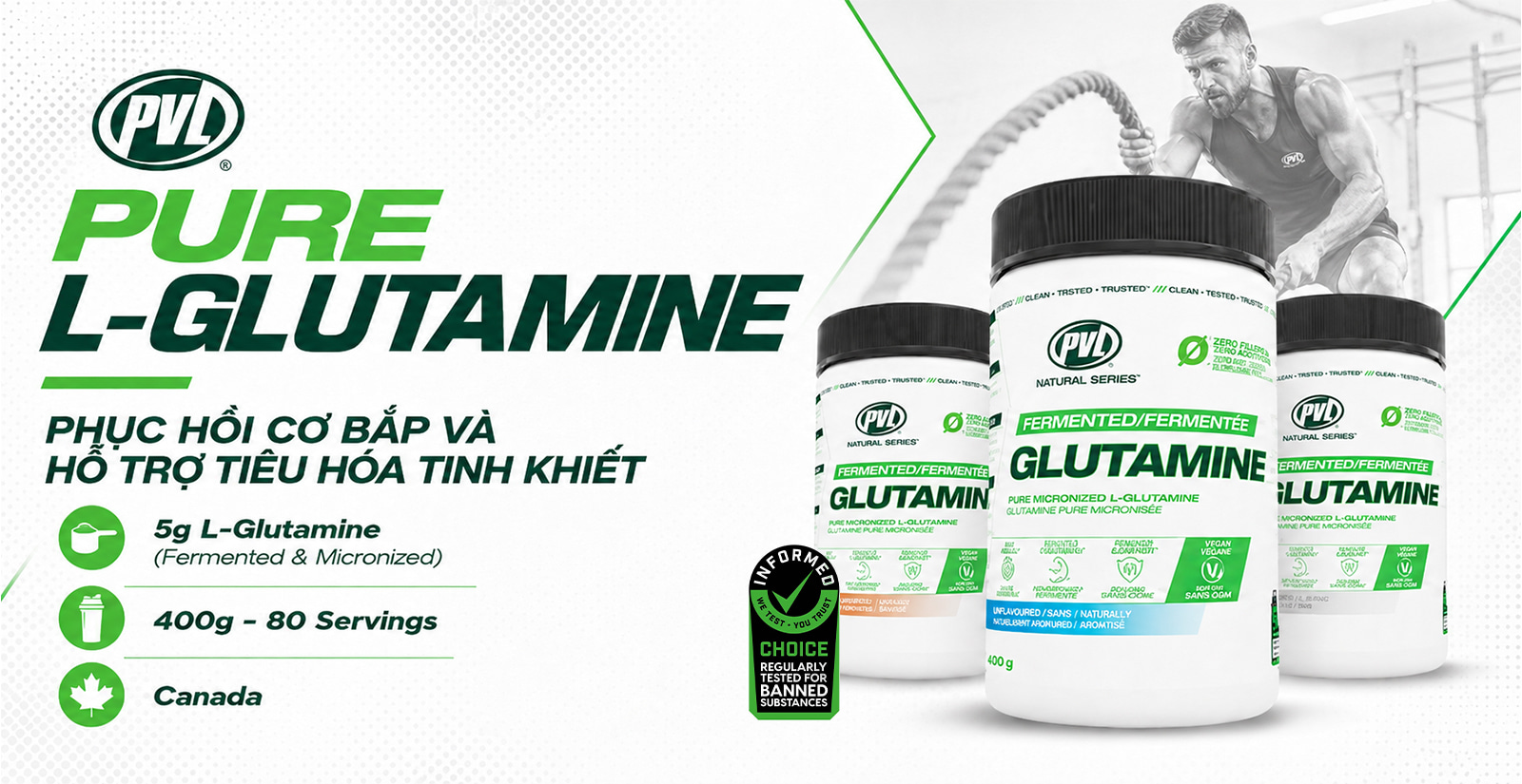 PVL Pure Glutamine Nổi Bật