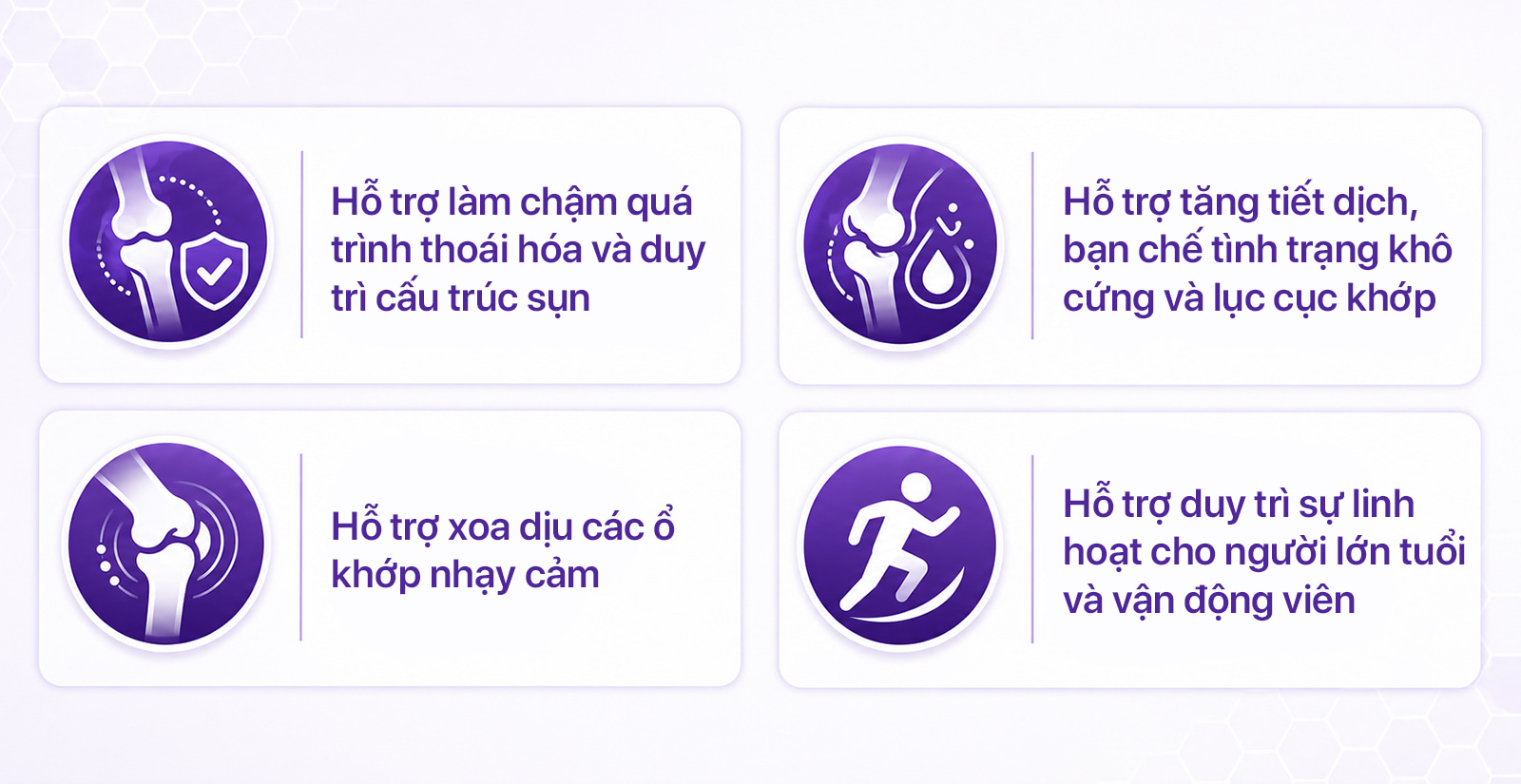 Webber Glucosamine Chondroitin MSM Lợi Ích