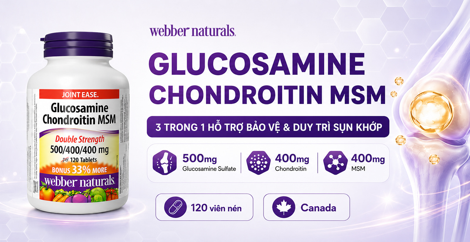 Webber Glucosamine Chondroitin MSM Nổi Bật