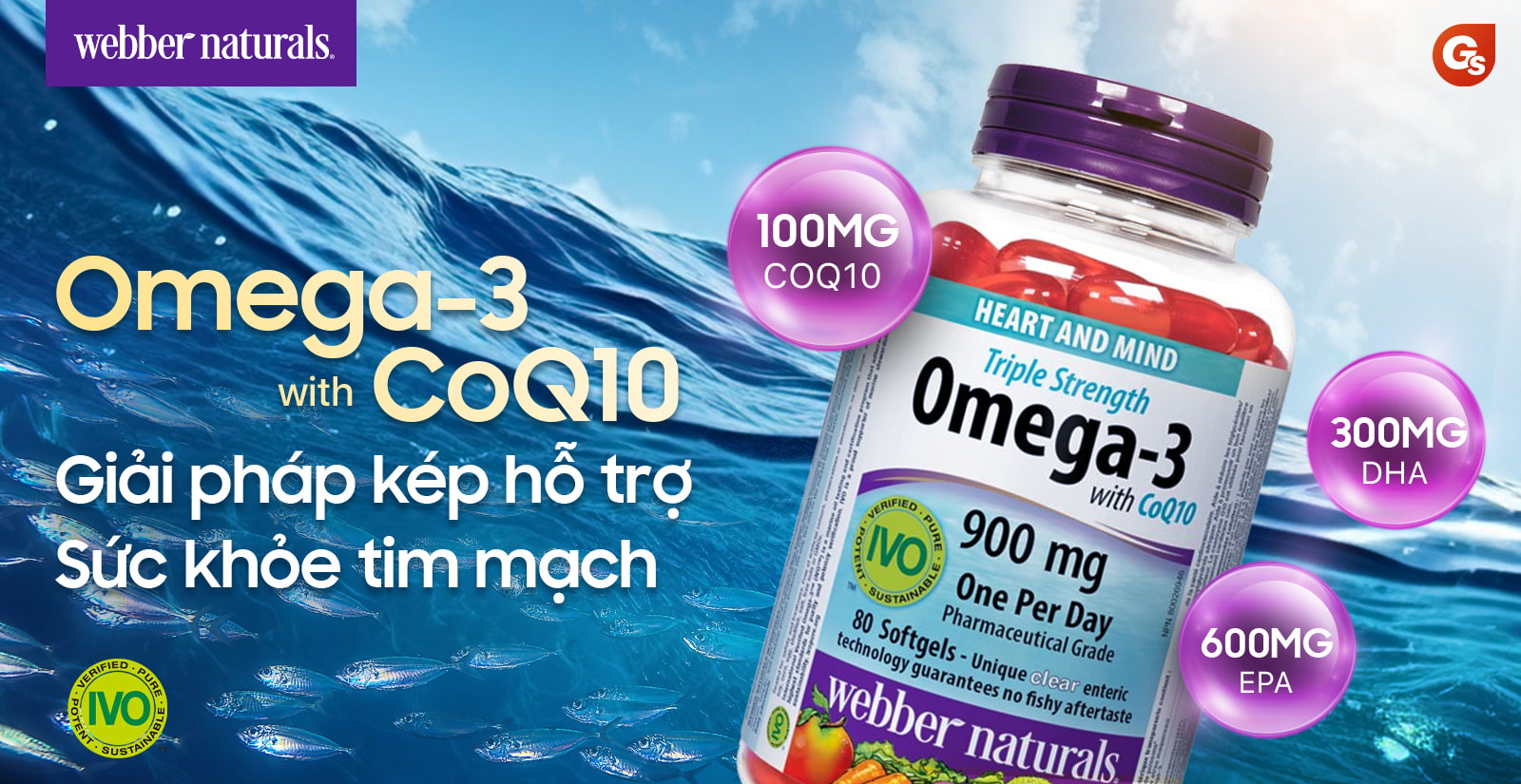 Webber Omega 3 CoQ10 Nổi Bật