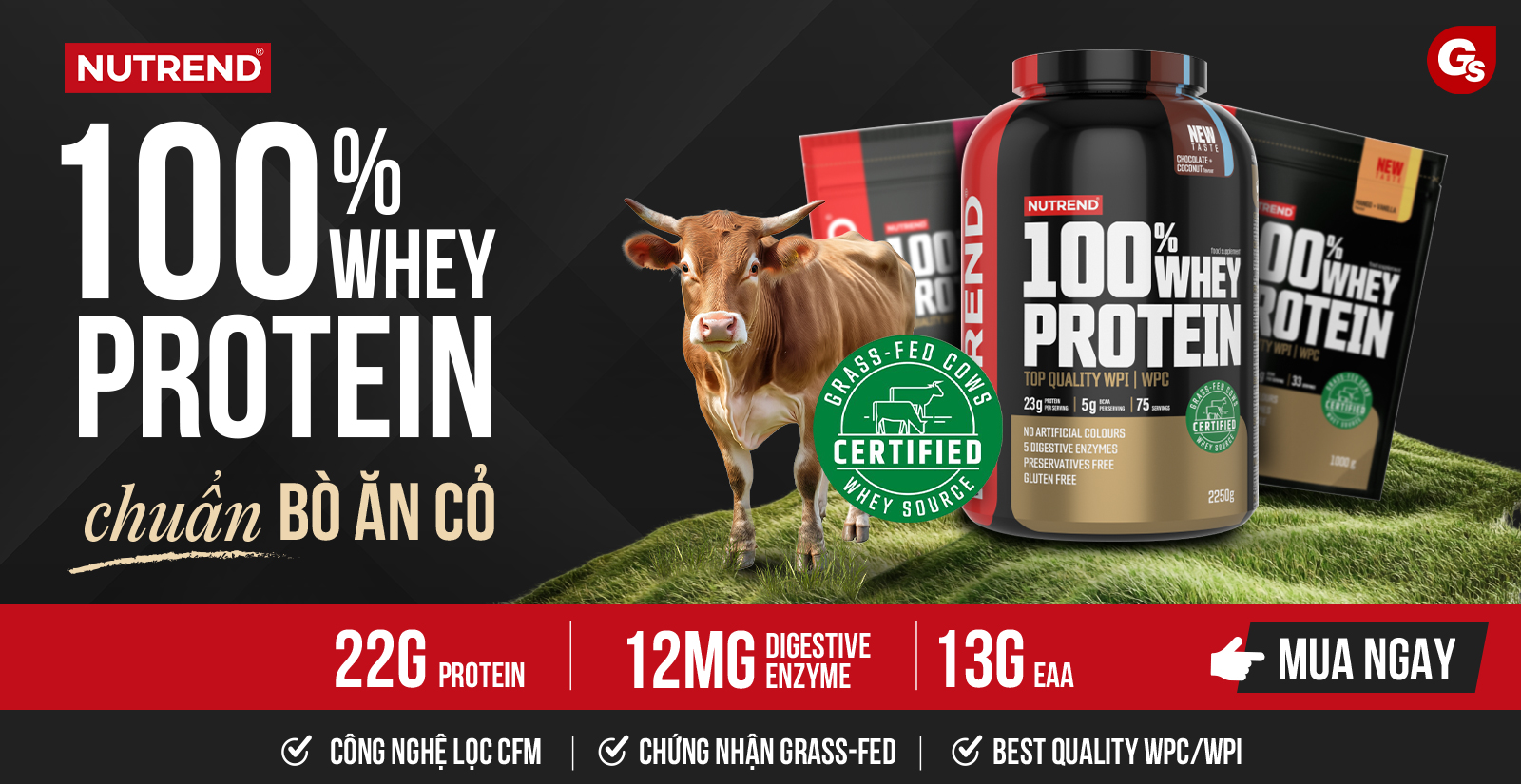 Nutrend Whey Protein Banner Promotion