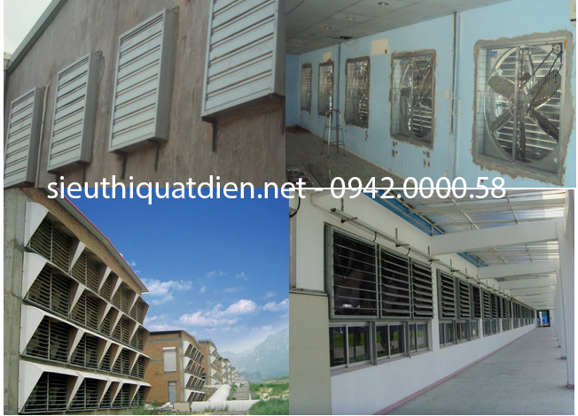 Quạt thông gió chuồng trại trong chăn nuôi Quạt thông gió chuồng trại trong chăn nuôi