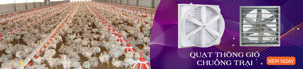 quạt thông gió chuồng trại chăn nuôi