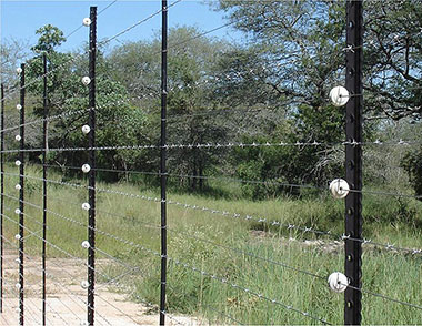 Hàng rào an ninh Elictric Fencing Hàng rào an ninh Elictric Fencing