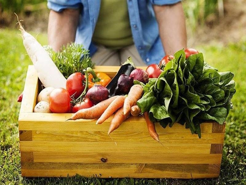 H&igrave;nh ảnh thực tế về thực phẩm an to&agrave;n