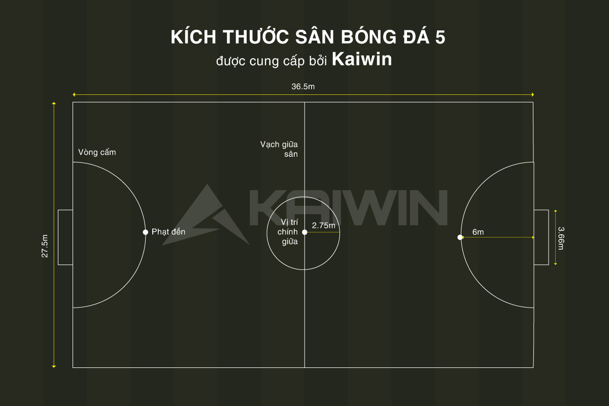 Kích thước sân bóng đá 5 người