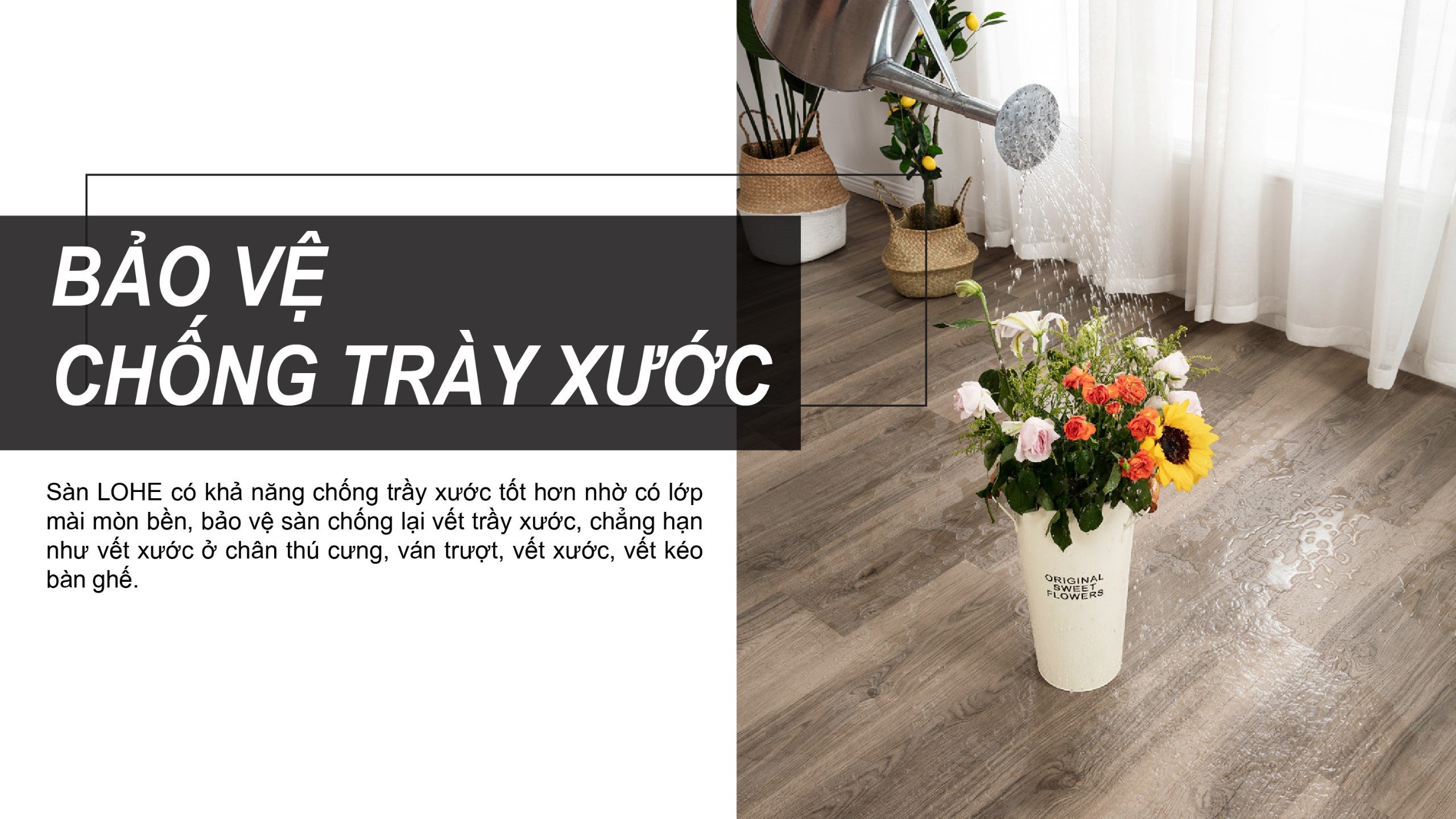 Sàn gỗ Lohe chống trầy xước