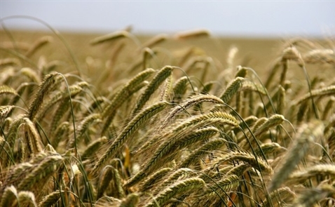 IFC đầu tư thêm 10 triệu USD vào PAN Group