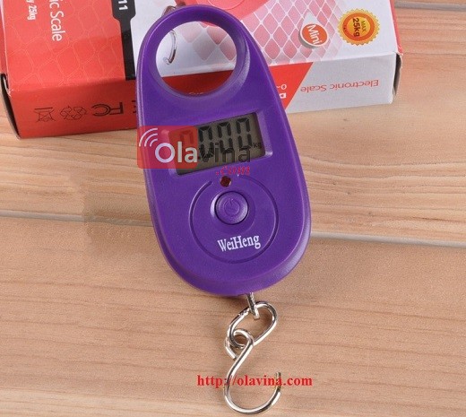 Cân móc điện tử bỏ túi 25kg/5g