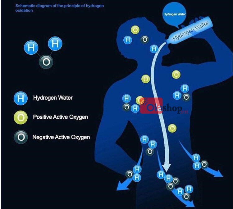 Bình tạo nước giầu Hydro