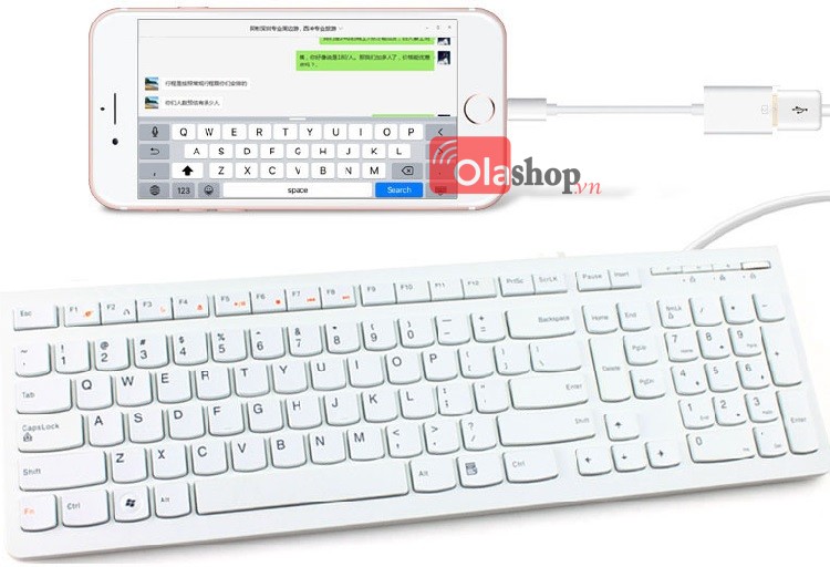 Cáp OTG Lightning iPad 4, iPad Mini, iPad Air