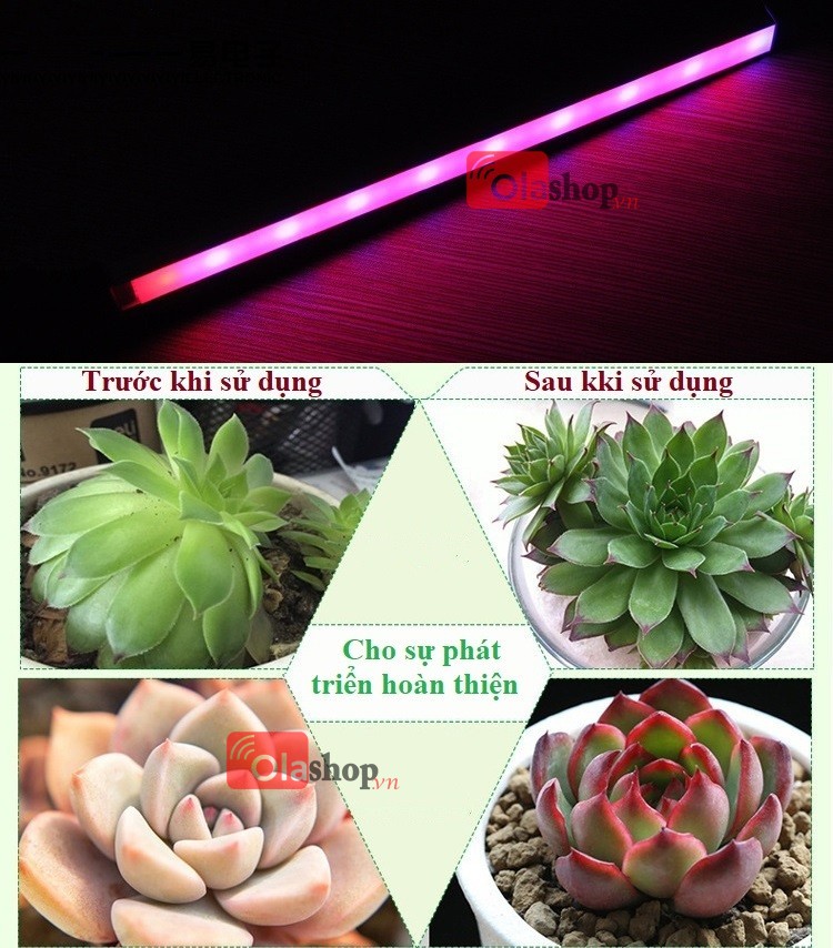 Đèn Led trồng cây trong nhà