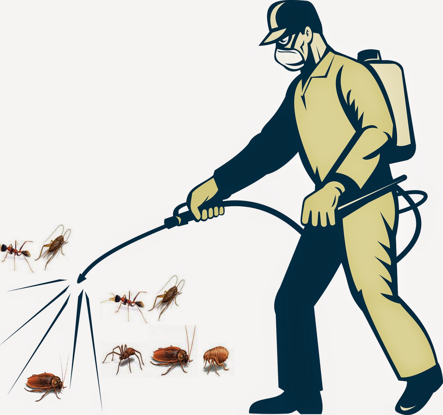 Hướng dẫn diệt côn trùng tại nhà hiệu quả