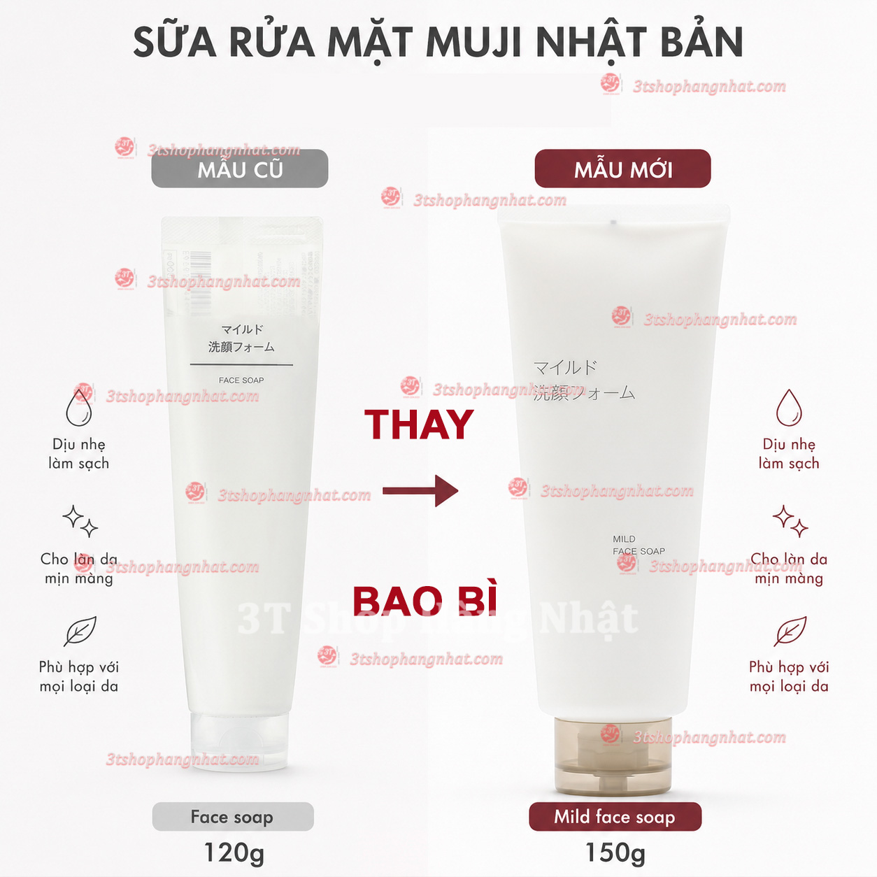 Sữa