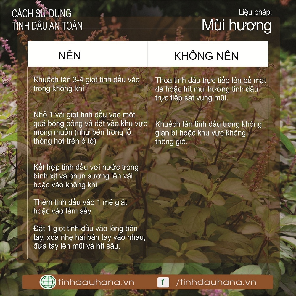 su-dung-tinh-dau-hieu-qua