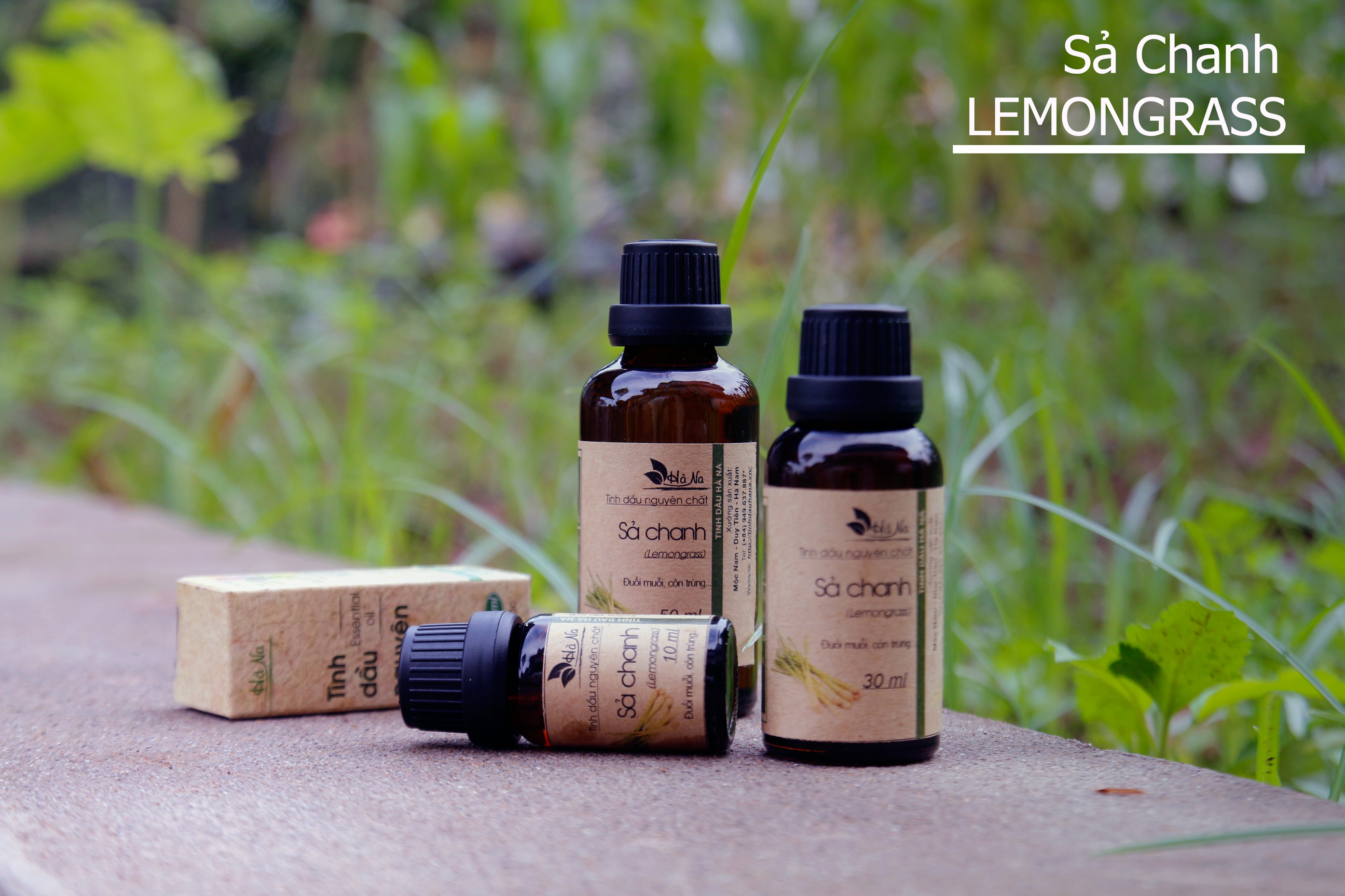 Công dụng của tinh dầu sả chanh nguyên chất Công dụng của tinh dầu sả chanh nguyên chất
