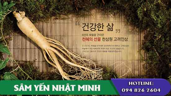 Vai trò của việc sơ chế nhân sâm tươi