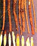 Các món ăn cho người lao động trí óc