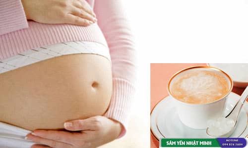 Bà bầu có dùng tổ yến được không? Tổ yến gà ác tiềm thuốc bắc có tốt cho bà bầu không ?