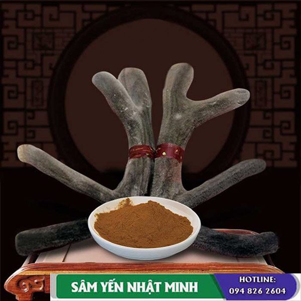 Nhung hươu khô hay nhung hươu tươi?