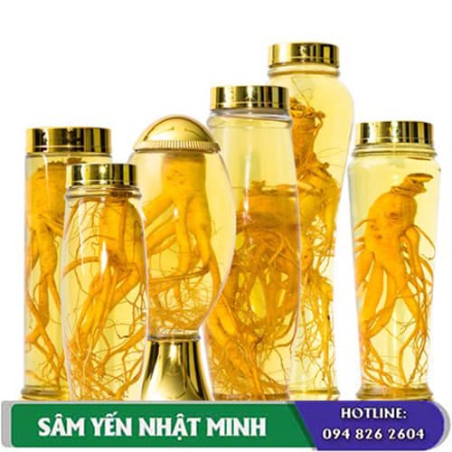 Cách ngâm rượu nhân sâm khô hàn quốc cho người già