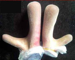 Đối tượng sử dụng nhung hươu