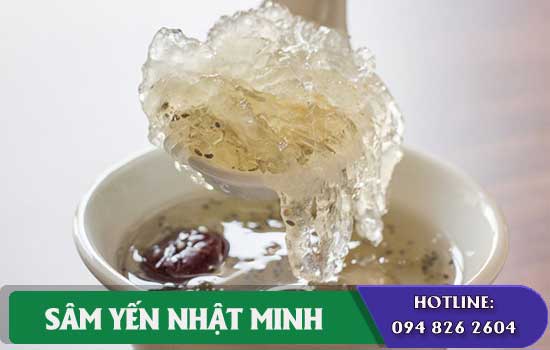 Công thức chưng yến cho người cao tuổi đơn giản bổ dưỡng