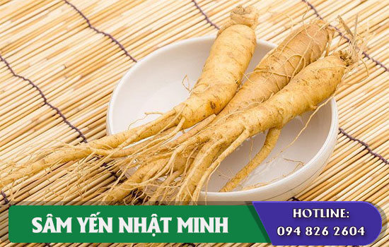 Sử dụng nhân sâm tươi quá nhiều trong ngày có sao không?