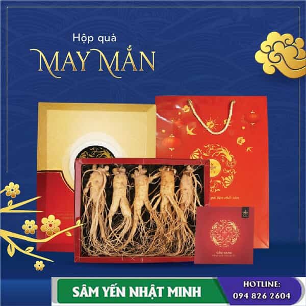 Mừng Tết 2023 Khuyến mãi quà tặng khi mua nhân sâm, nấm linh