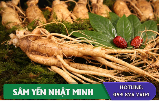 Nhân sâm Hàn Quốc 1 năm tuổi nhận biết như thế nào chính xác?