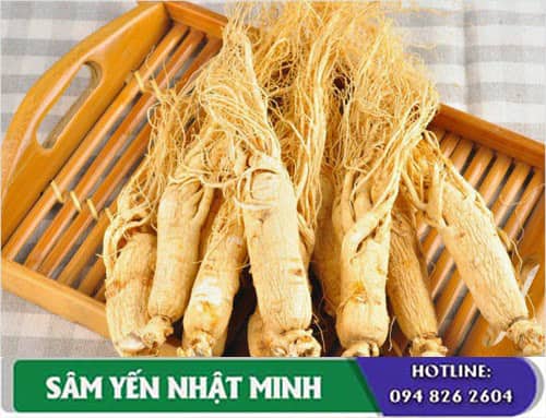 Nhân sâm Hàn Quốc những điều cần tránh