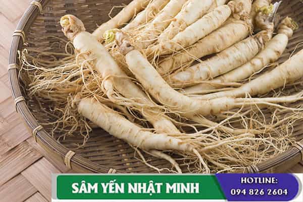Cách ngâm rượu sâm hàn quốc hiệu quả cho nam giới
