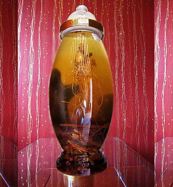 Nhung hươu ngâm mật ong
