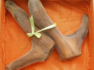 Nhung hươu là gì