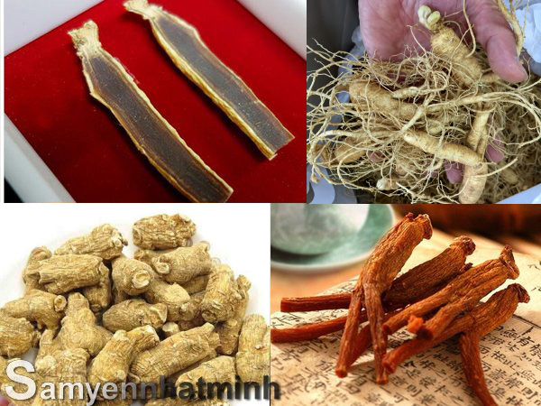 4 loại nhân sâm hàn quốc
