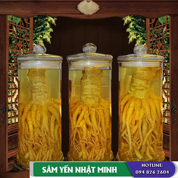 bảng giá của bình thủy tinh ngâm rượu