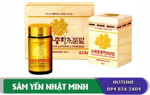 Bột Đông trùng hạ thảo giàu dinh dưỡng